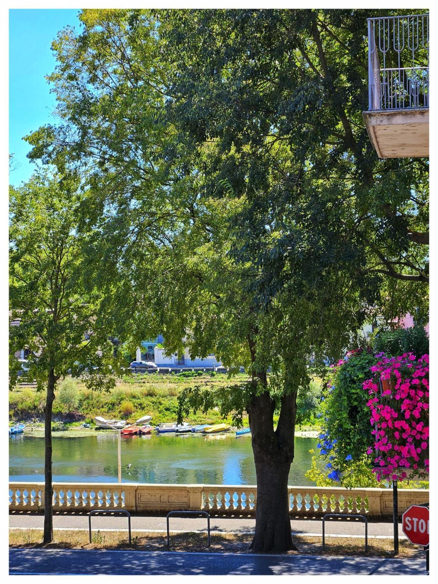 Vm_Lungoticino Nassy Apartment ปาเวีย ภายนอก รูปภาพ